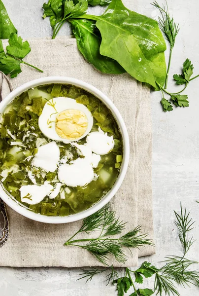 Traditional Russian soup with sorrel, meat and eggs — Stock Image Traditional Russian soup with sorrel, meat and eggs Stock Image