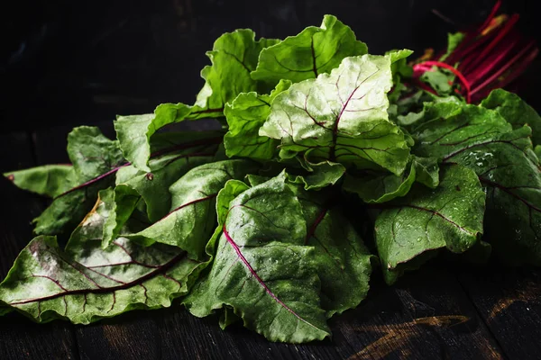 Sockerbetor blad, mörk bakgrund — Stockfoto