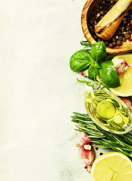 Специи, травы, оливковое масло и приправы — стоковое фото