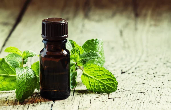 Essential oil of peppermint — Stock Photo, Image