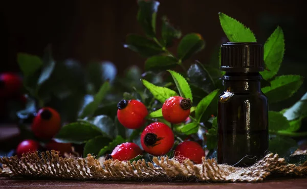 Essential oil of rosehip — Stock Photo, Image