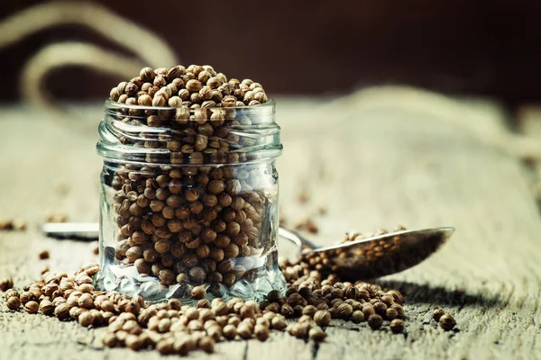 Семена кориандра, селективный фокус — стоковое фото