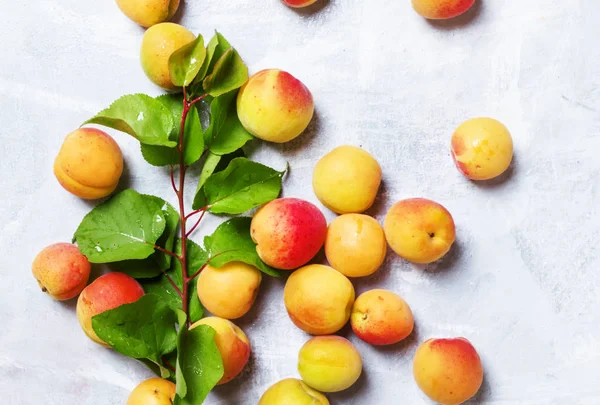 Спелые вкусные абрикосы с зелеными листьями — стоковое фото