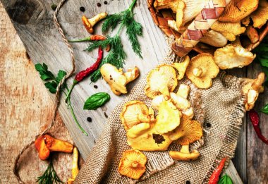 Yabani mantar chanterelles