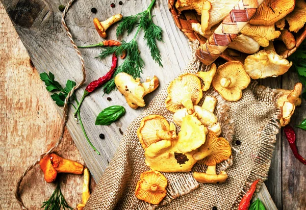 Yabani mantar chanterelles