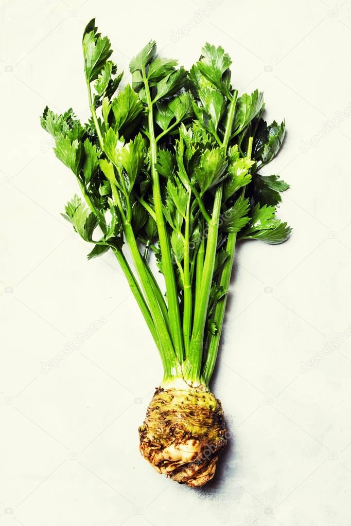Root celery with green stems