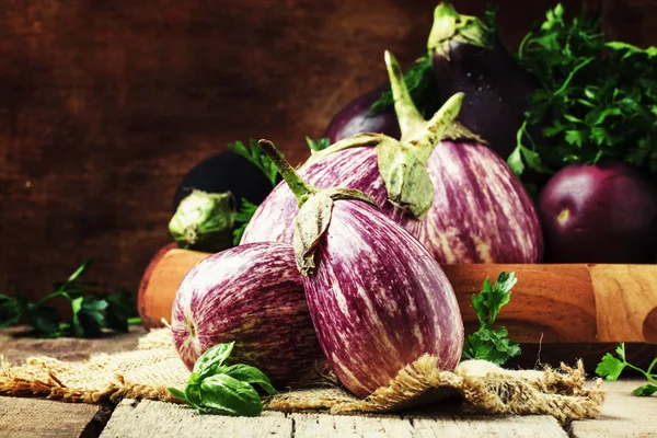 Aubergines fraîches à rayures violettes — Photo