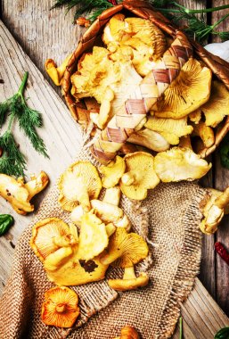 Hasır sepet içinde taze vahşi chanterelles