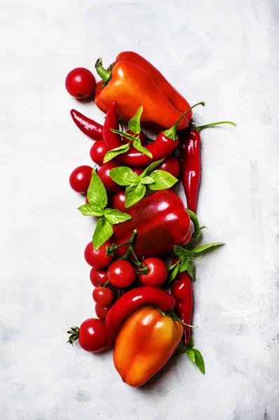 Groenten voor het koken van pikante saus van tomaat en peper — Stockfoto