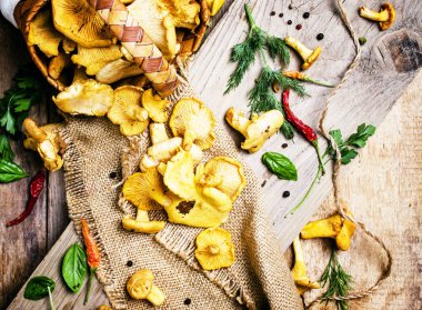 Hasır sepet içinde ham sonbahar chanterelles 