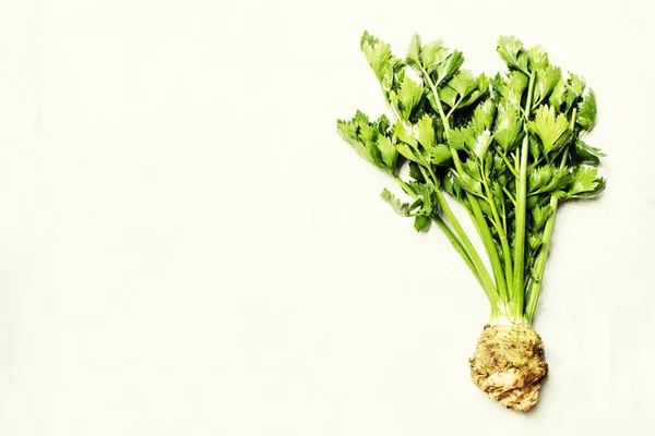 Raw root celery with green stems — Stock Photo, Image