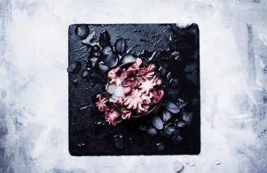 Ezilmiş buz içinde küçük ahtapot 