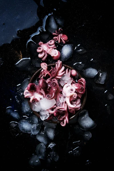 Μικρό χταπόδι μαγειρεμένο σε θρυμματισμένο πάγο — Φωτογραφία Αρχείου