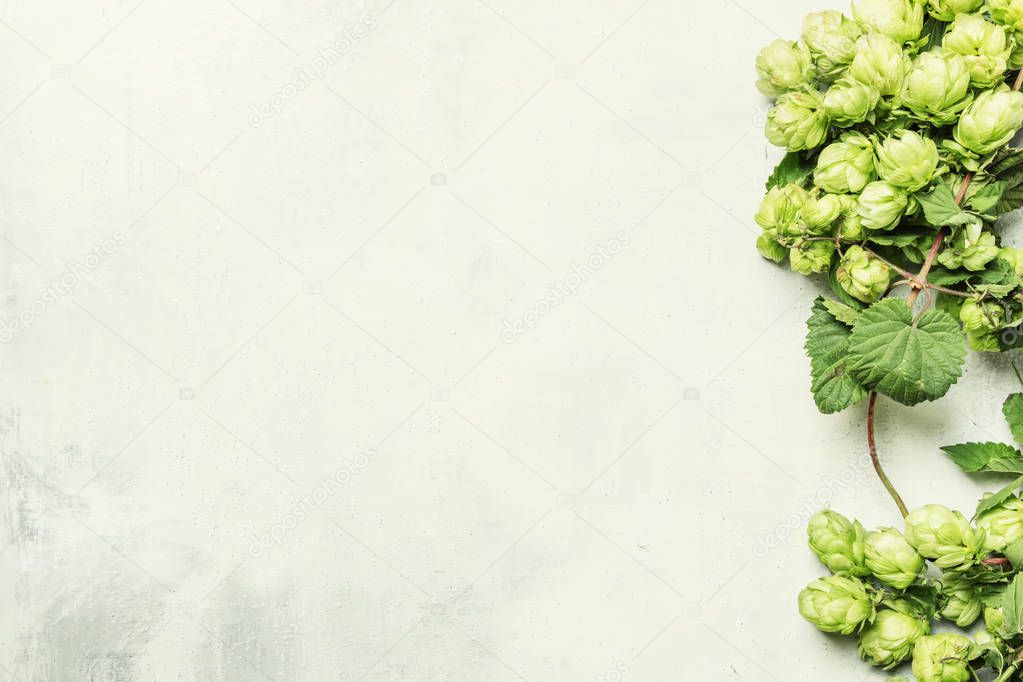 Autumn background with hop cones 