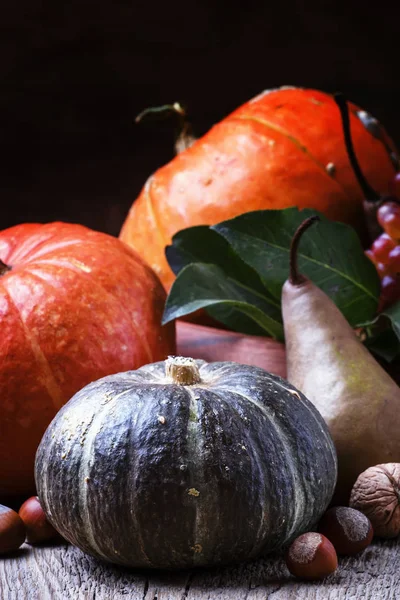 Herbststilleben mit Kürbissen, Birnen und Nüssen — Stockfoto