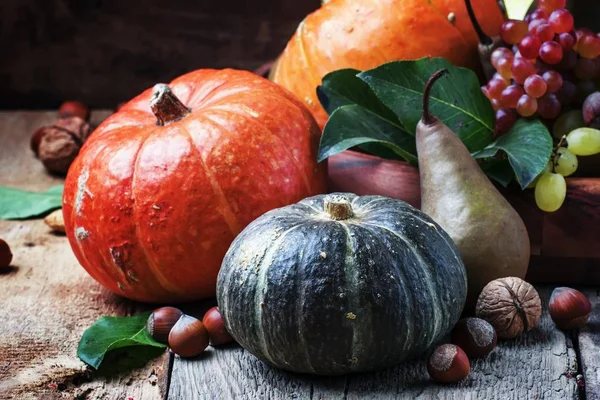 Herfst oogst van pompoenen, peren en druif — Stockfoto