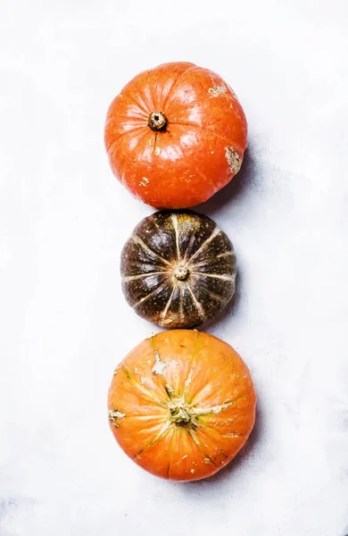 Herfst oogst van Oranje en groene pompoenen — Stockfoto