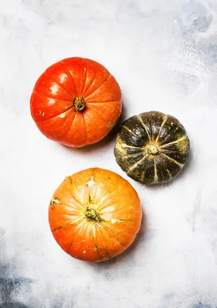 Herbsternte der orangen und grünen Kürbisse — Stockfoto