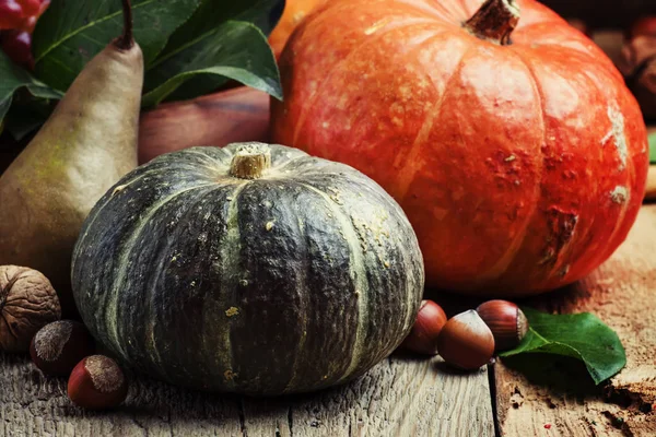 Herbststilleben mit Kürbissen, Birnen und Nüssen — Stockfoto