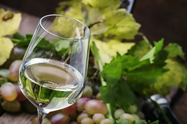 Vino bianco secco e uva — Foto Stock