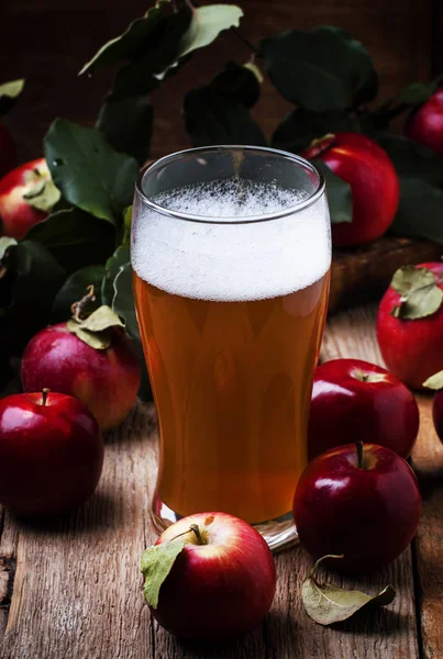 Яблочный сидр в большом бокале пива — стоковое фото