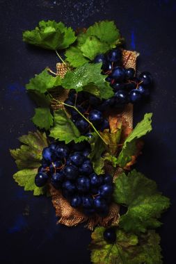 yeşil yaprakları ile mavi üzüm 