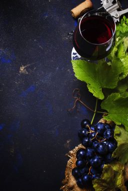 Kırmızı şarap üzüm çeşitleri cabernet sauvignon 