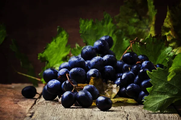 Uvas azules con hojas verdes — Foto de Stock