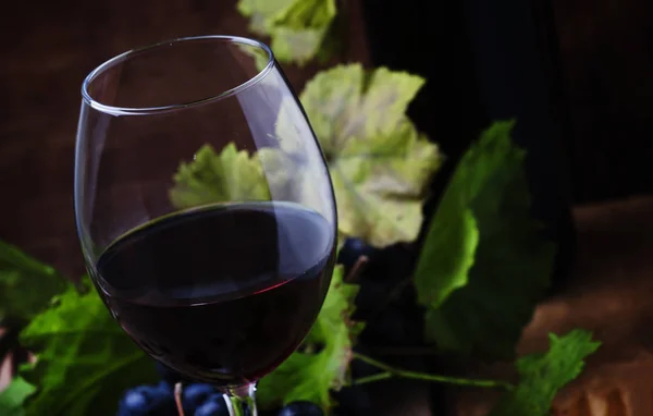 A szőlőfajták merlot pohár vörös bor — Stock Fotó