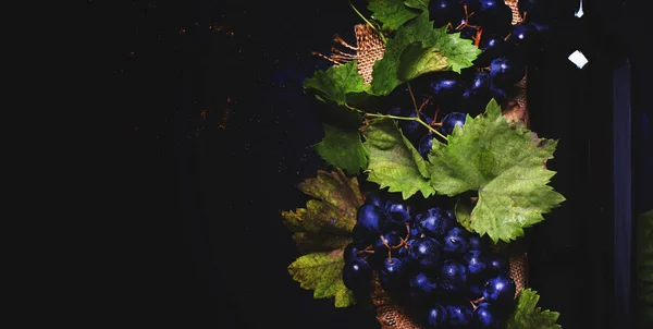Vin rouge en bouteille et raisin bleu — Photo