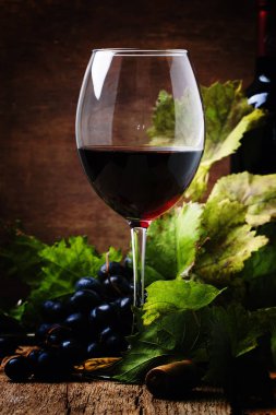 İspanyol rioja asma dan kırmızı SEK şarap 