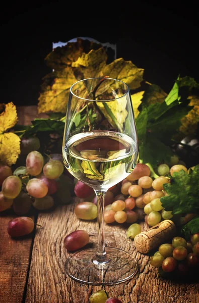 Białego wytrawnego wina, w szkle — Zdjęcie stockowe