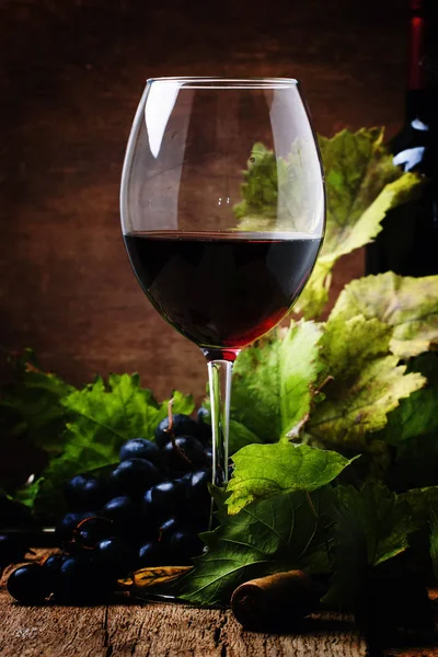 Spanish red dry wine from rioja vine — Stock Photo, Image