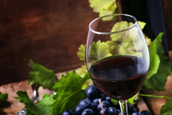 Spaanse Rode droge wijn uit rioja wijnstok — Stockfoto