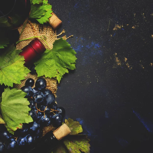 Červené víno z odrůdy cabernet sauvignon — Stock fotografie