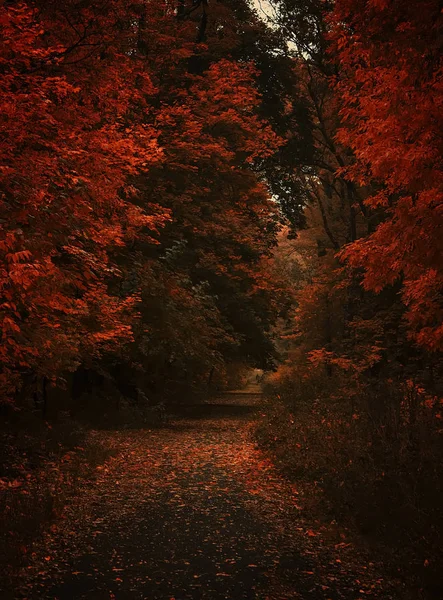 Paysage d'automne, ciel nuageux, jour de brouillard pluvieux — Photo