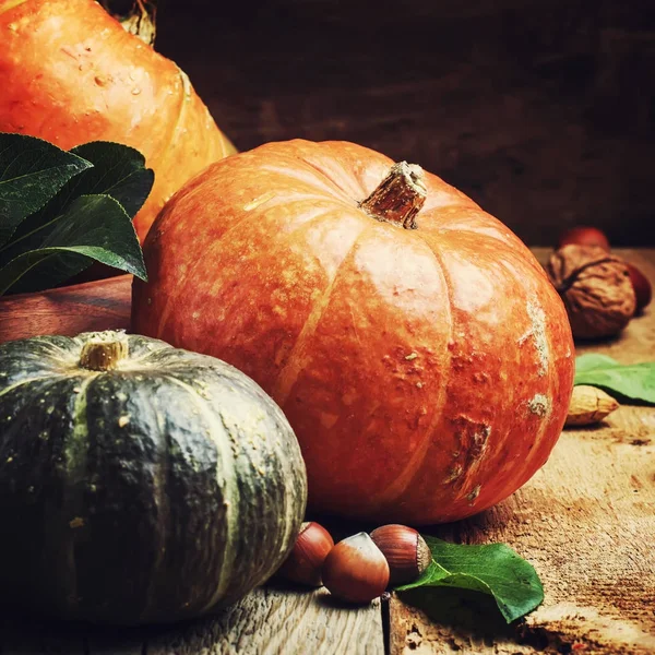 Hösten Stilleben med pumpor, päron och nötter — Stockfoto