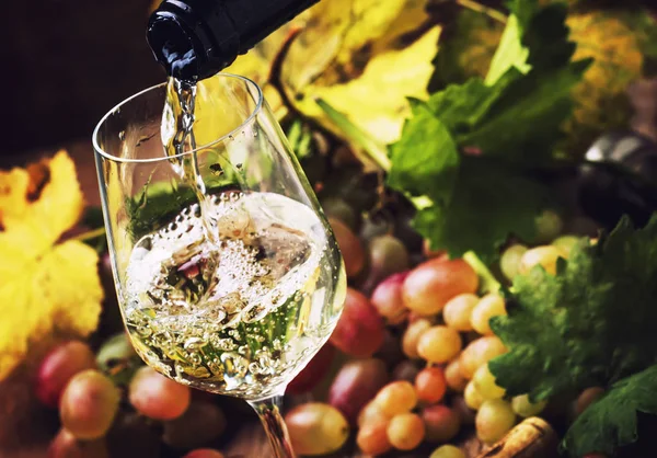 Witte wijn die in een glas wordt gegoten — Stockfoto