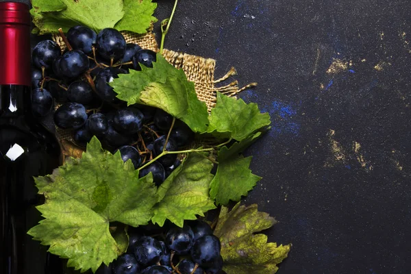 Rött vin i flaska och blå druvor — Stockfoto