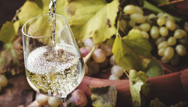 Vinho branco sendo derramado em um copo — Fotografia de Stock