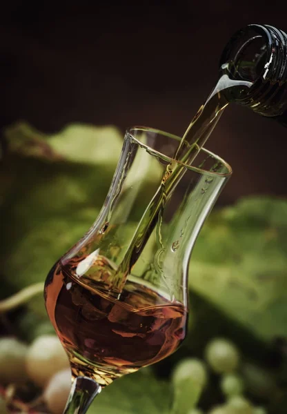 Bevanda alcolica dorata versata nel bicchiere da sparo — Foto Stock