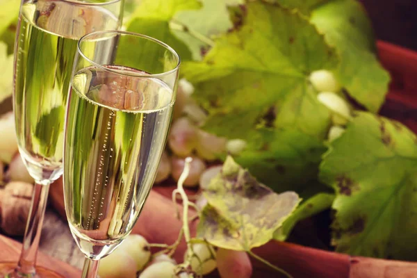 Champagner im Glas, Trauben mit Weinstock — Stockfoto