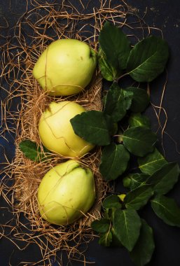 Large Yellow Quince With Leaves  clipart