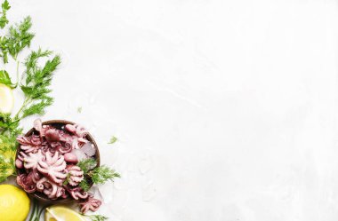 Buz ile küçük ahtapot