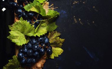 Kırmızı şarap şişesi, asma ve üzüm, siyah mavi arka plan, üstten görünüm