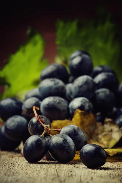 Uvas Azules Con Hojas Verdes Bodegón Rústico Fondo Madera Vintage —  Fotos de Stock