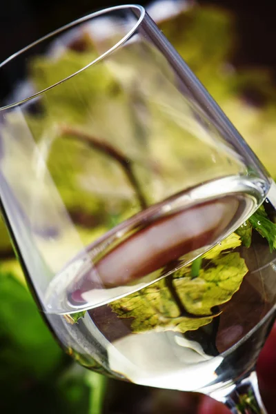 ガラス 素朴なスタイル ビンテージの木製の背景 選択と集中の静物で辛口の白ワイン — ストック写真
