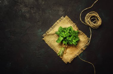 Taze çayır nane bir ışın, koyu arka plan, üstten görünüm