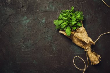 Taze çayır nane bir ışın, koyu arka plan, üstten görünüm