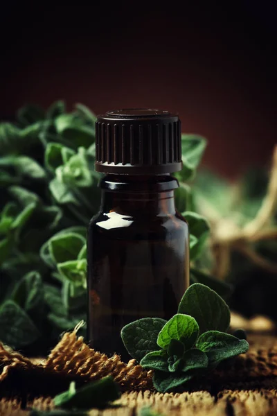 Organic essential oregano oil in a glass jar and a bunch of fresh marjoram, vintage wooden background, selective focus